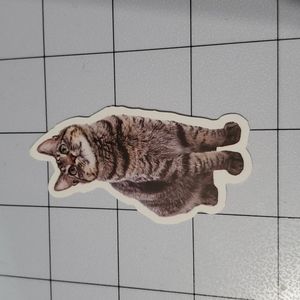 CAT Sticker